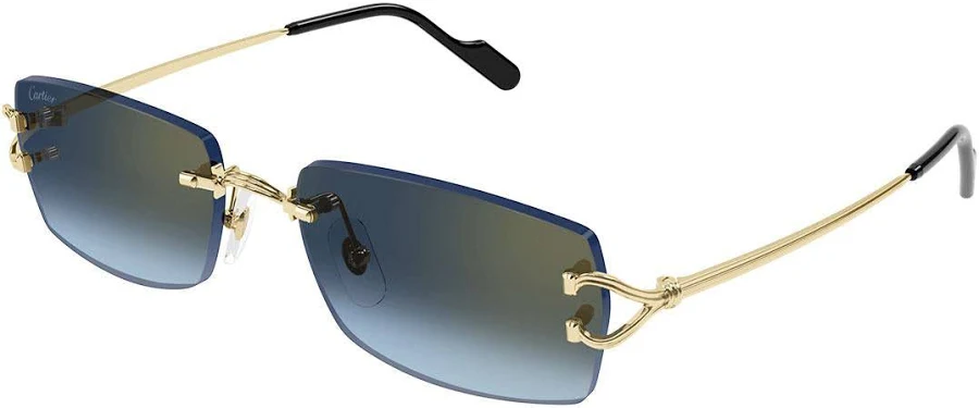 Cartier Glasses (22+ color ways) Accessories find