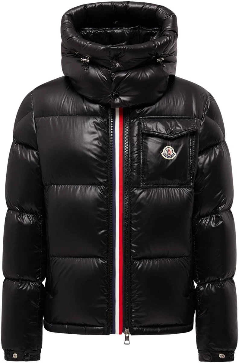 Moncler Puffer Jacket (22+ color ways) Jackets find